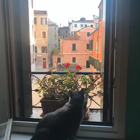 Albrizzi Charme Apartment Venice Exterior photo